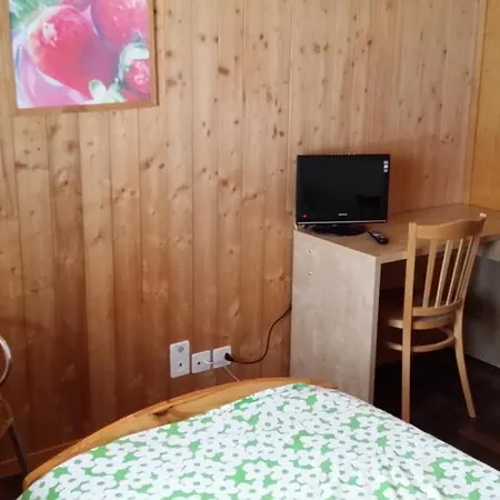Ξενοδοχείο Restaurant Walliser Sonne 2*