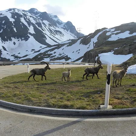 Restaurant Walliser Sonne